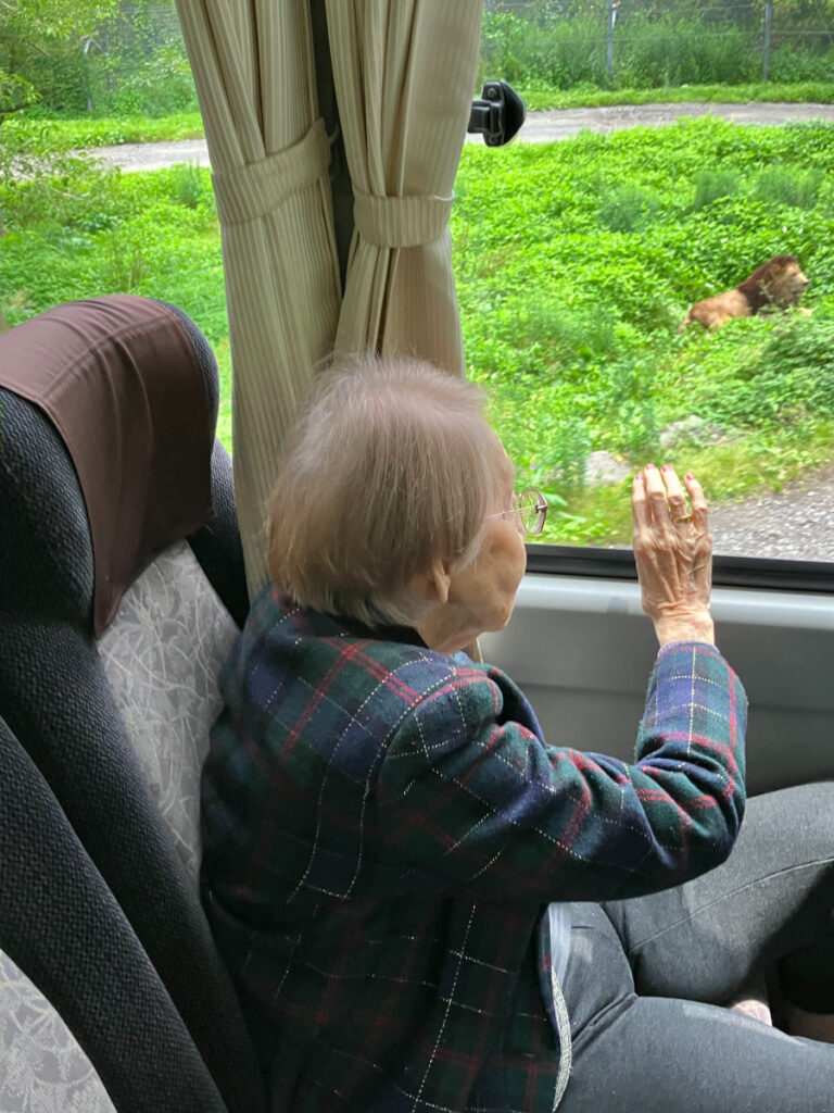 車内からライオンをみつけたご入居者