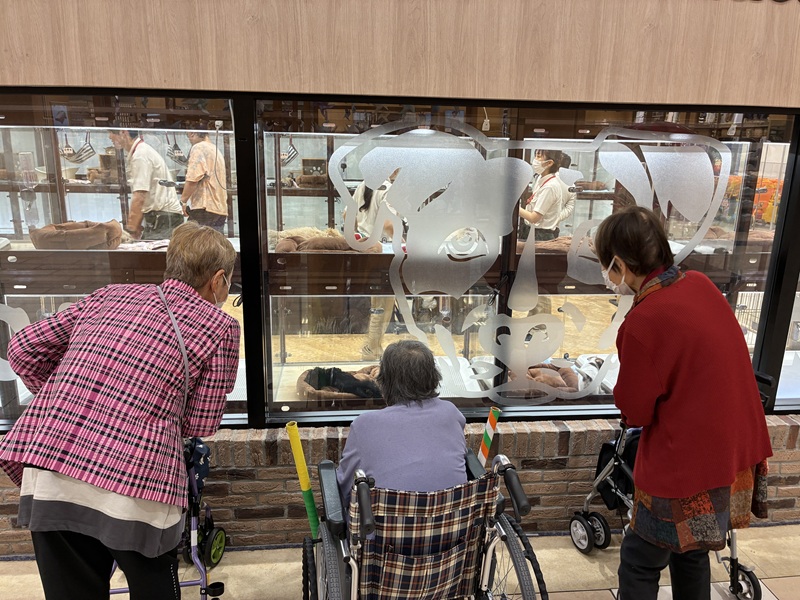 ペットショップで犬や猫をみるご入居者