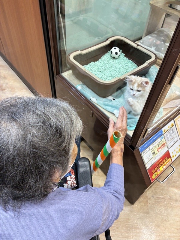 ペットショップで犬や猫をみるご入居者