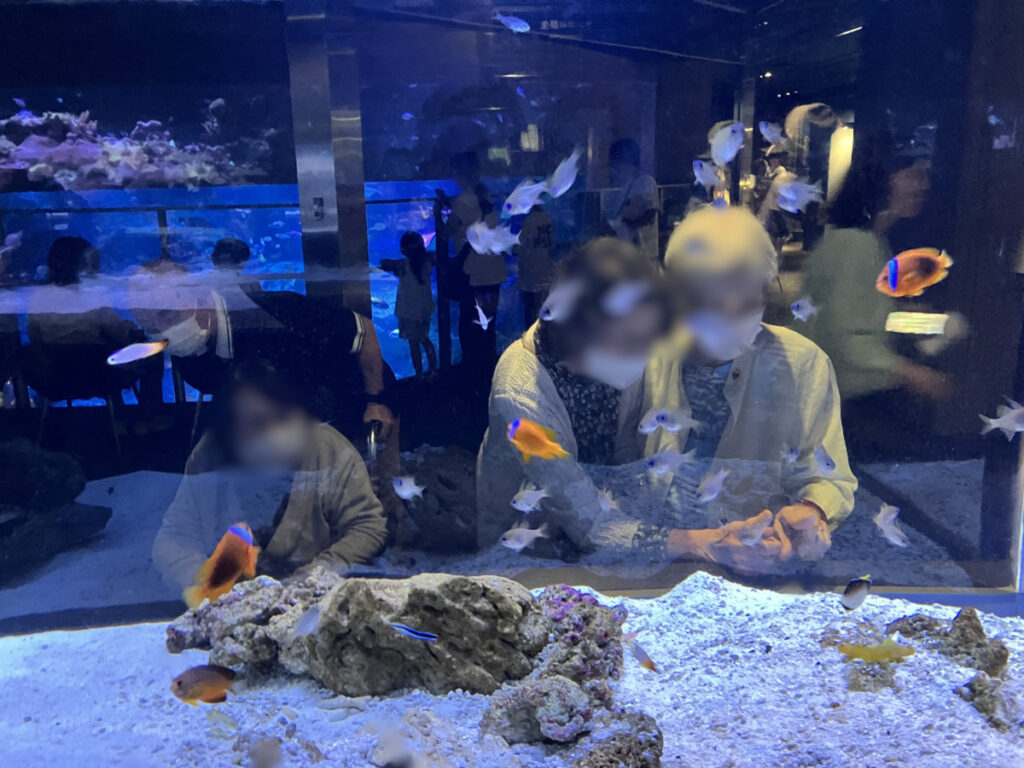 水族館で涼し気な時間