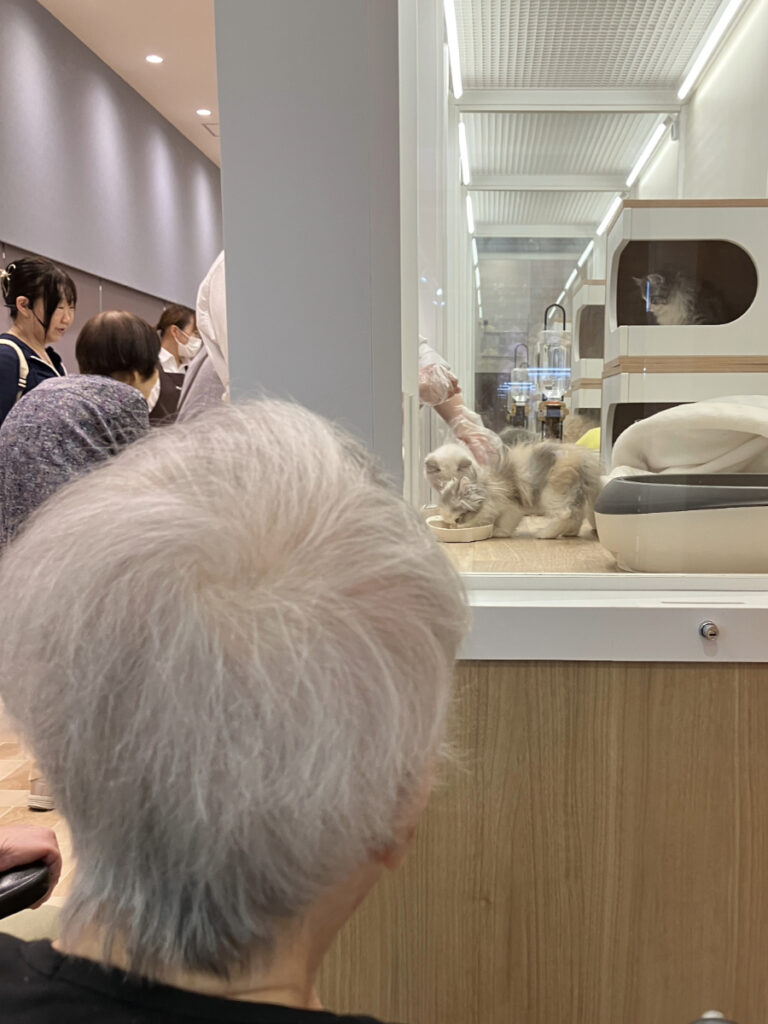ペットショップを覗くご入居者