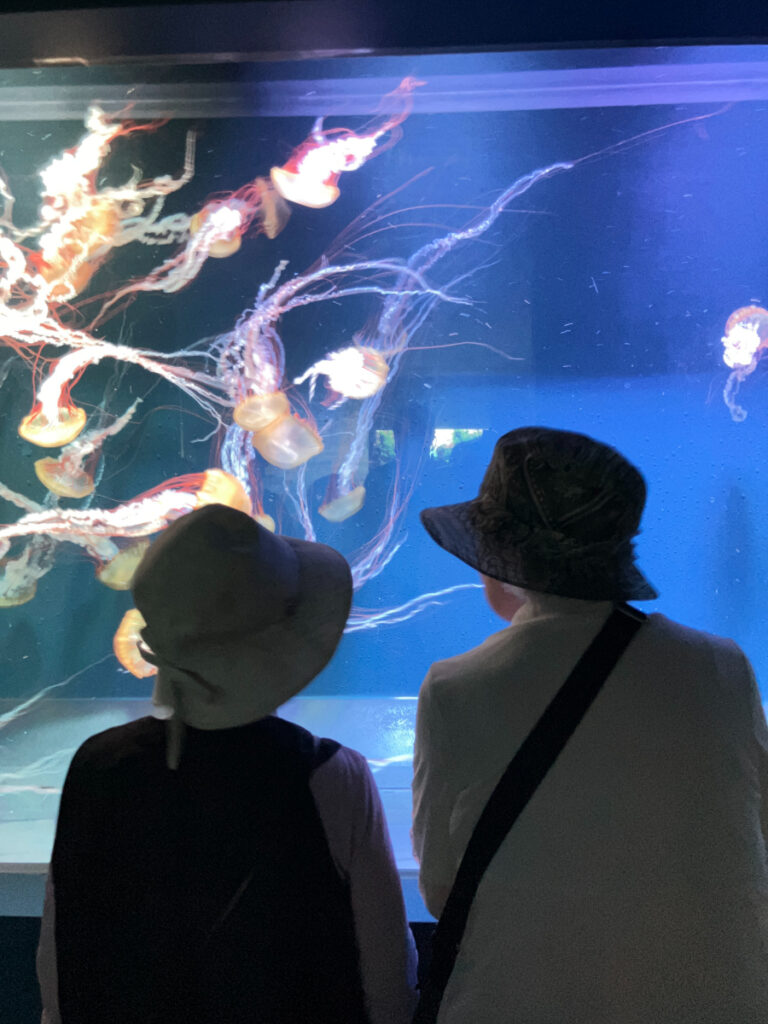 すみだ水族館で魚を鑑賞するご入居者