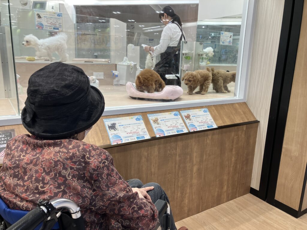 ペットショップで犬を眺めるご入居者