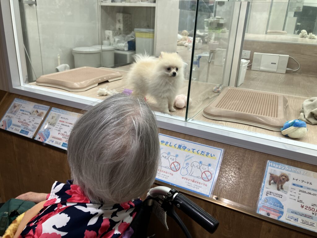 ペットショップで犬を眺めるご入居者