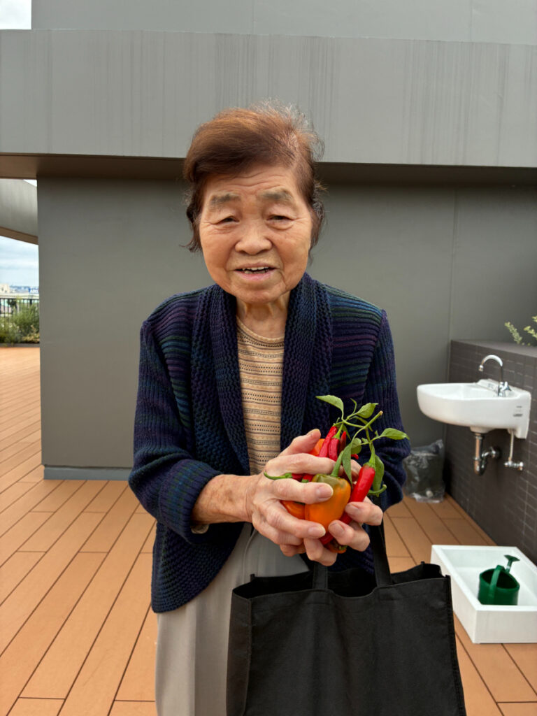 家庭菜園での収穫物
